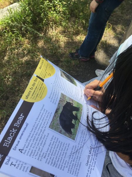 Kids on the program brought interactive workbooks to fill out as they spotted wildlife.