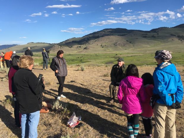 Observing wolves in the wild and discussing wolf history in Yellowstone with biologist, Rick McIntyre.