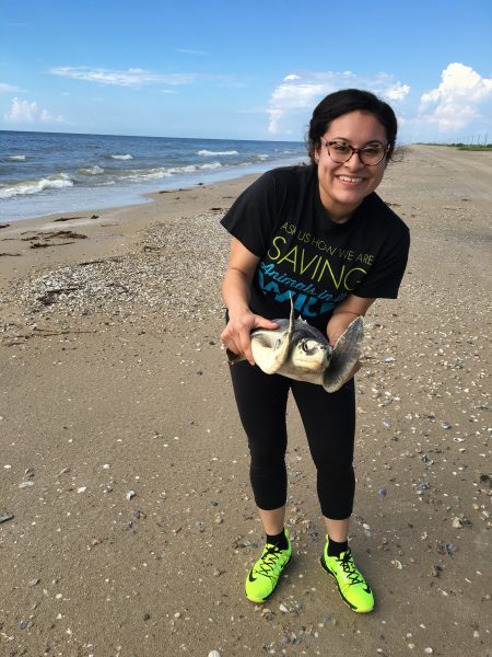 Brenda happily releasing this sea turtle back into the wild! 