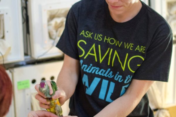 Houston Zoo Bird Staff Saving Wildlife Part 5