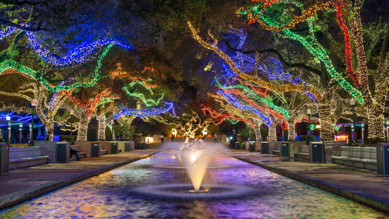 Lit up holiday lights in trees at Reflection Pool