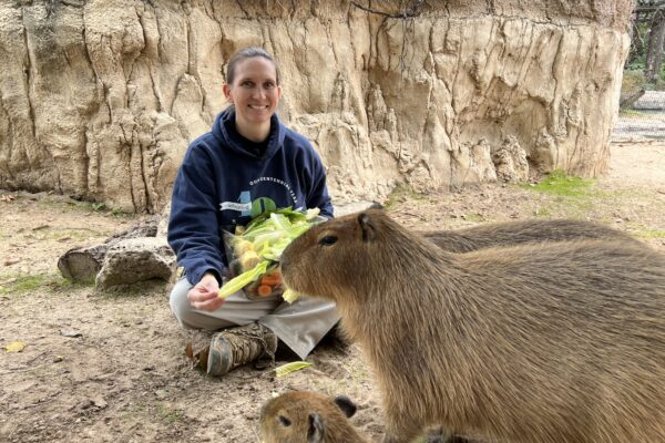pet lover capybara funny cute capybaras petting animals pet illustration  pet accessories pet costume em 2023