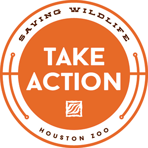 Take Action with the Houston Zoo! You can make small changes that make a big impact for wildlife.