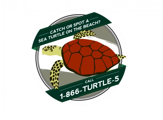 SeaTurtleSticker_outline