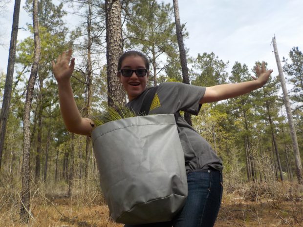 One of our Alternative Teen Break participants enjoying time in the Big Thicket planting long-leaf pine trees to save wildlife!