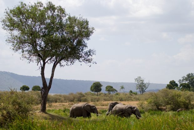 Tanzania, Africa