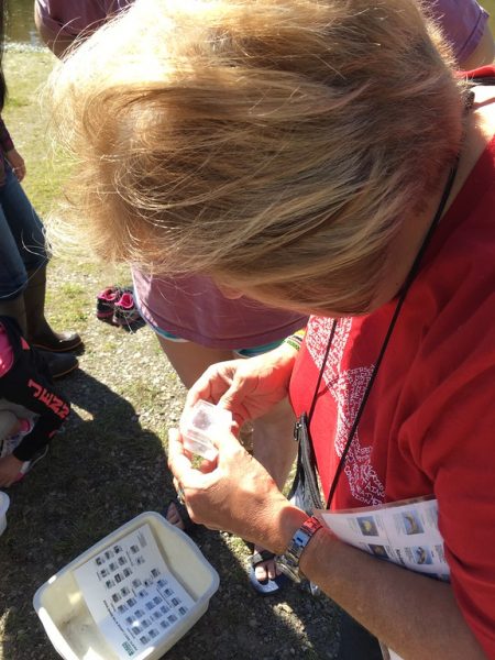 Water quality testing near Yellowstone National Park.