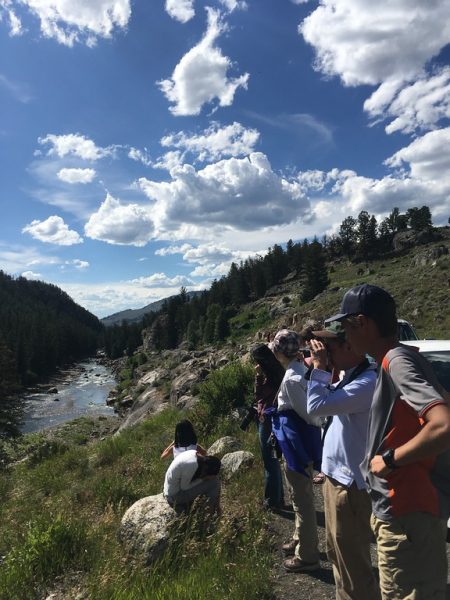 Here we watched a black bear near a stream, followed by a grizzly bear who appeared shortly after!