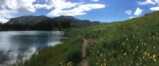 Trout Lake, Yellowstone National Park