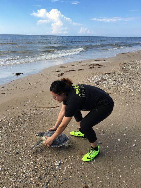 During survey, Brenda helped release a Kemp's ridley sea turtle that was rehabilitated by NOAA