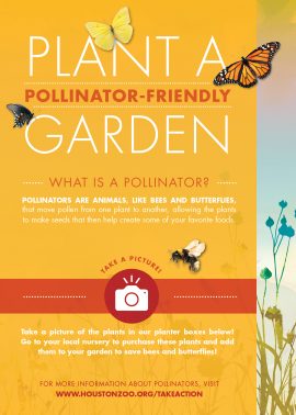 conservation-stage_15x21_pollinator-sign