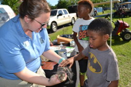 ZooMobile a Hit at 10th Annual Family Day at Sylvester Turner Park - The  Houston Zoo