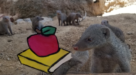 Wild About School – August 20