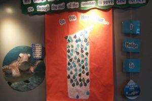 Campers Championing Conservation!