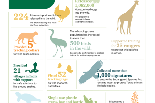 2018 Saving Wildlife Successes