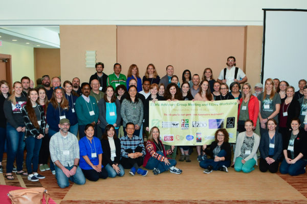 Houston Zoo Hosts Workshop Dedicated to Find Solutions to Battle Deadly Elephant Virus