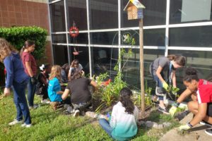 Saving Wildlife Through Pollinator Pathways at Space Center Immediate School