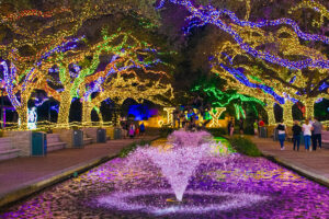Zoo Lights Member Preview Nights