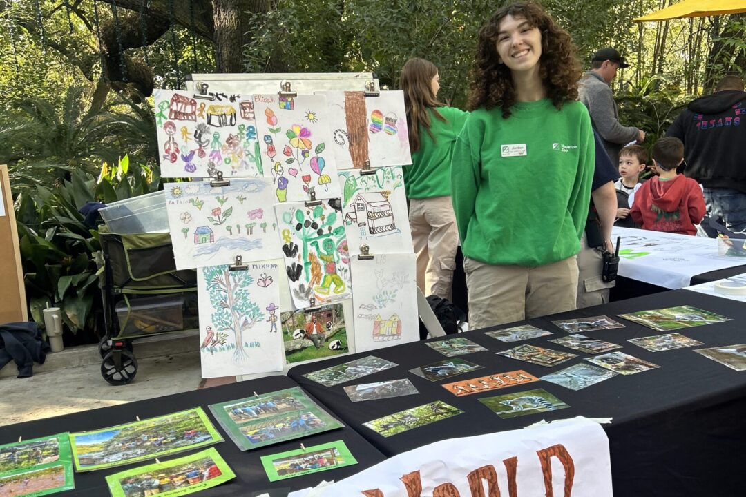 world lemur festival