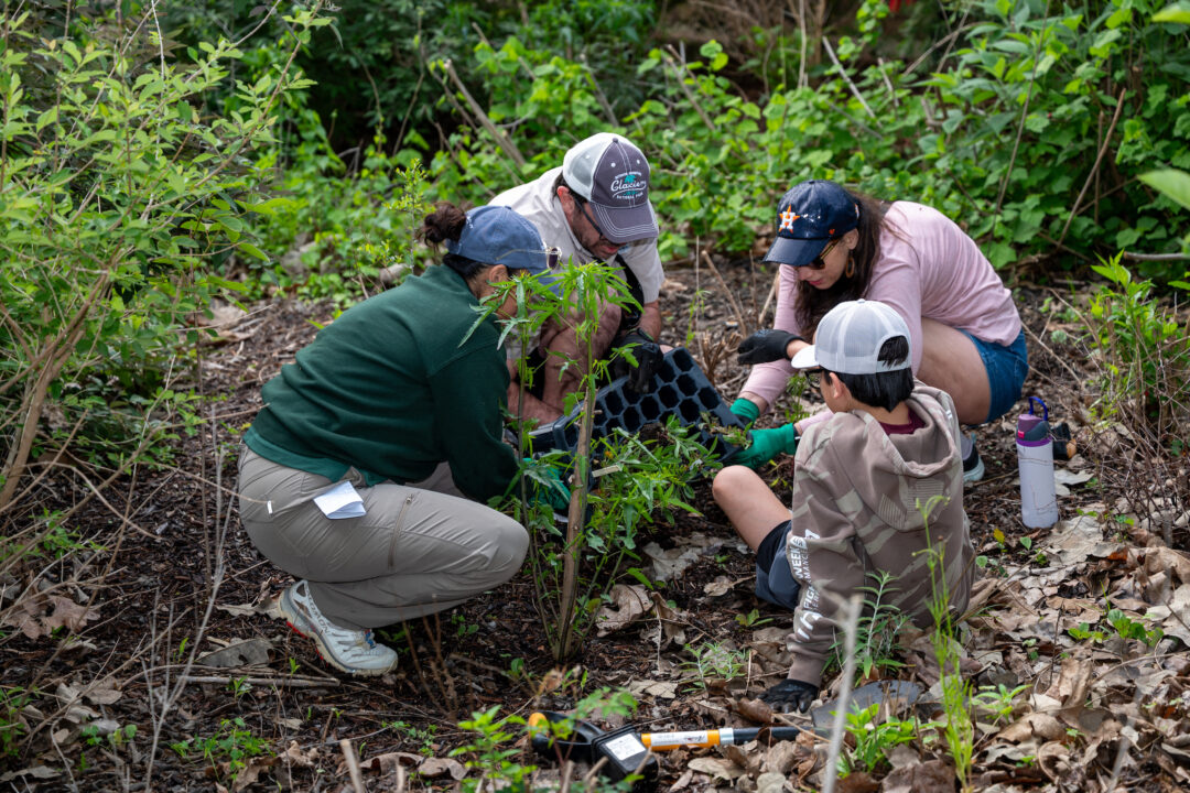 Neighbors for Nature Houston Zoo Community Volunteers