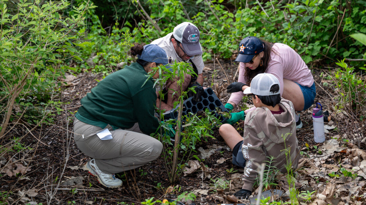 Neighbors for Nature Houston Zoo Community Volunteers