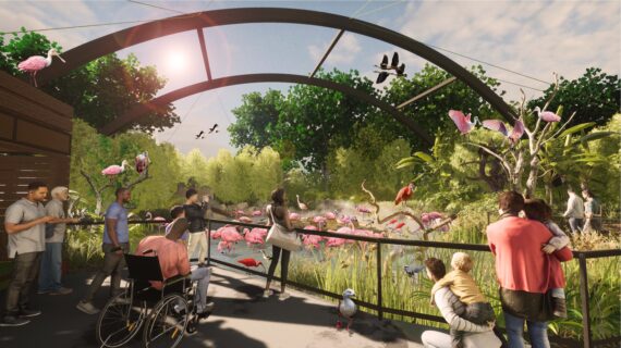 rendering of south american wetlands aviary