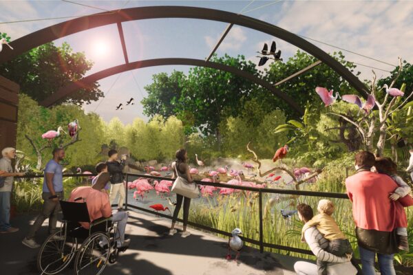 rendering of south american wetlands aviary