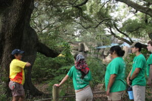 Meet the Zoo’s Tree Guardians!