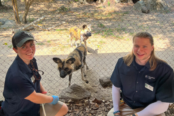 Bringing the Zoo to You - The Houston Zoo