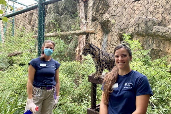 clouded leopards facebook live recap