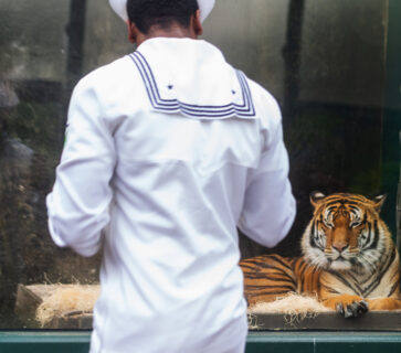 U.S. Navy and Marine servicemembers at Houston Zoo sea lion habitat during Fleet Week Houston