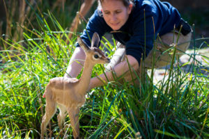 Houston Zoo Welcomes First Baby Born in 2016