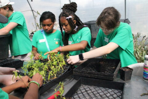 Zoo Crew Naturalists repotting plants in the Horticulture Greenhouse.