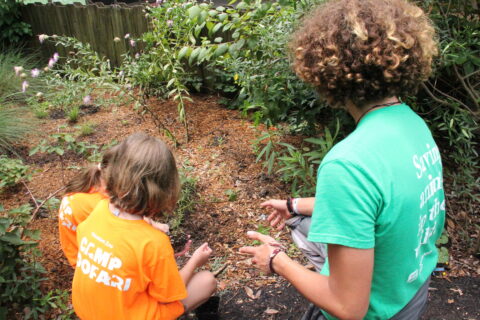 A Zoo Crew Camp Mentor helping a Camp Zoofari camper plant milkweed.
