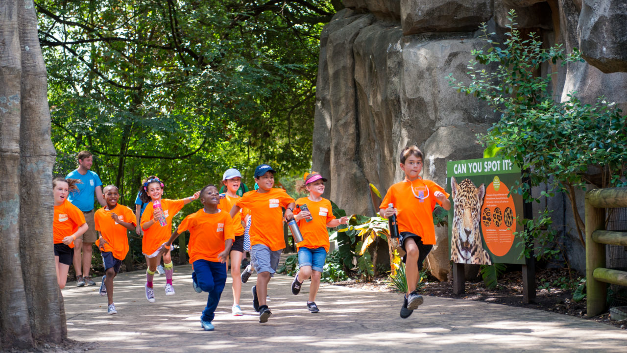 Send a Kid to Camp The Houston Zoo