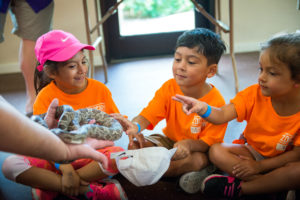 Camp Zoofari: Party Animals – A Roarin’ New Year Celebration