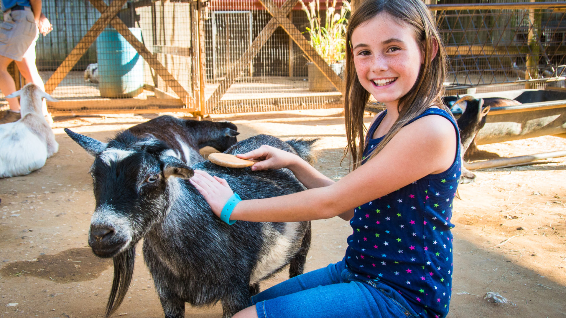 Zoo girl. Petting Zoo.