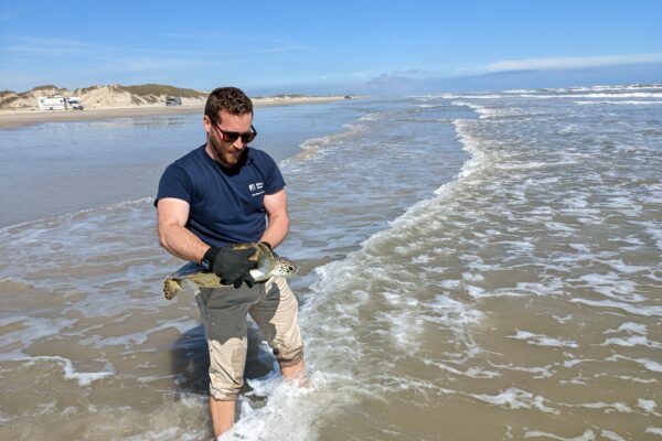 Meet Our Sea Turtle Staff