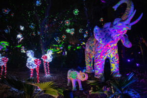 TXU Energy Presents Zoo Lights Tickets On Sale