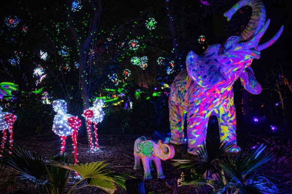 TXU Energy Presents Zoo Lights Tickets On Sale