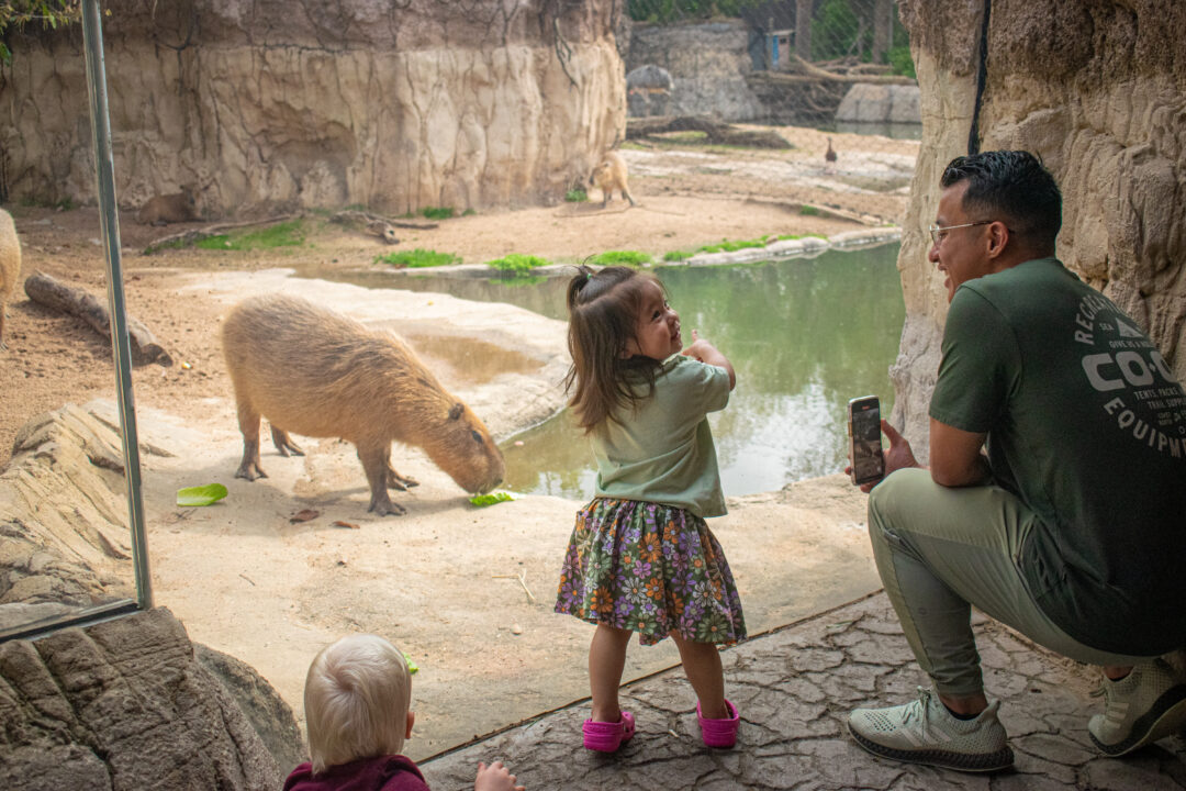 Father's Day 2026 at Houston Zoo