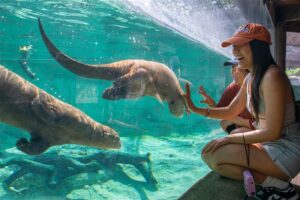 Plan the Perfect Spring Break at Houston Zoo