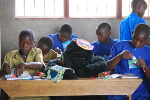 Helping Communities to Help Gorillas in Rwanda
