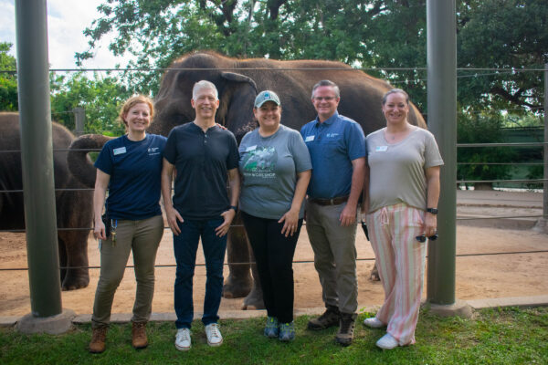 Working Together to Save Elephants