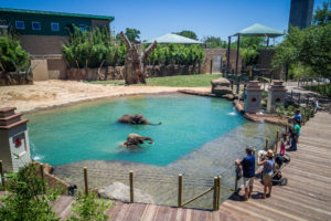 Elephant Open House