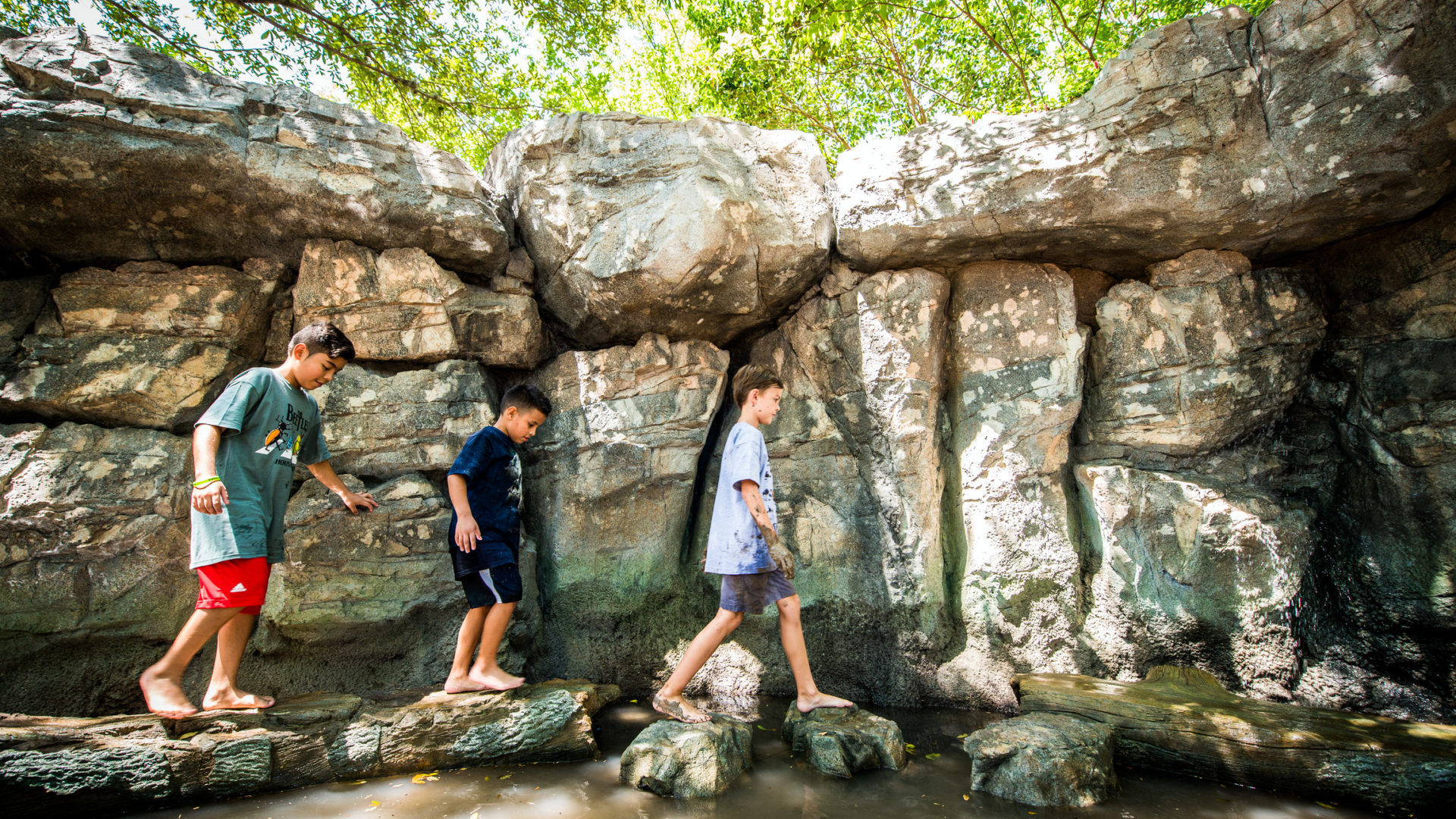 Explore The Wild Nature Play Area The Houston Zoo