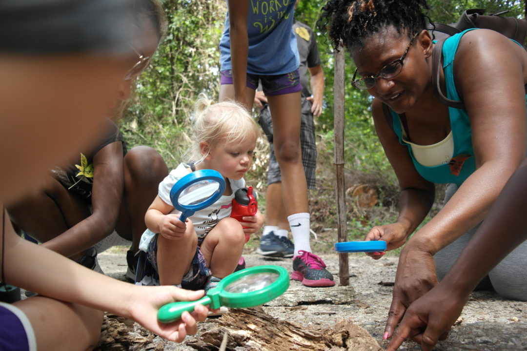 Make Memories The Houston Zoo