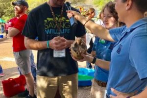 Come to the Zoo to Meet Gabriel Massocato, a Biologist Protecting Giant Anteaters in the Wild