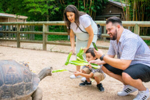 family feeding a galapagos tortoise during an animal encounter