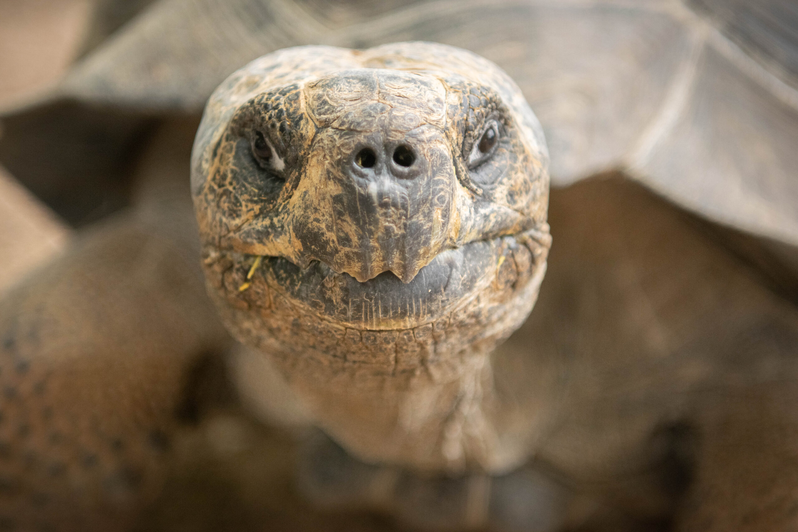 what time does the houston zoo open today